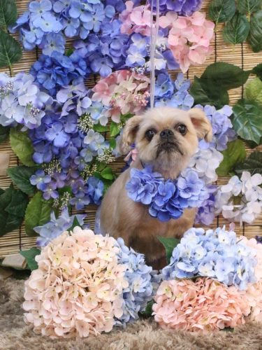 20250629ムーくん